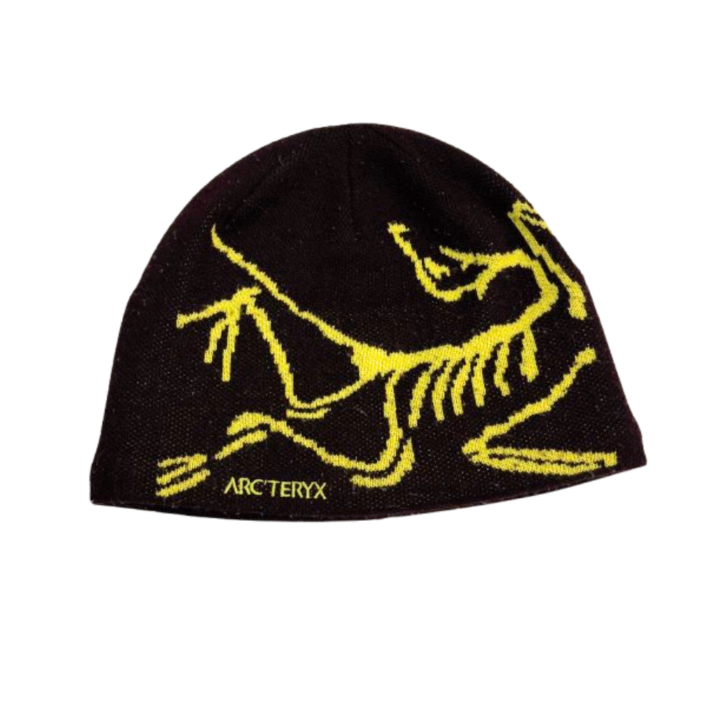 Arc’teryx Bird Head Toque